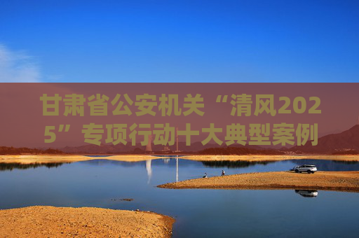 甘肃省公安机关“清风2025”专项行动十大典型案例公布