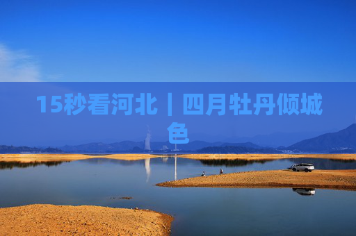 15秒看河北｜四月牡丹倾城色