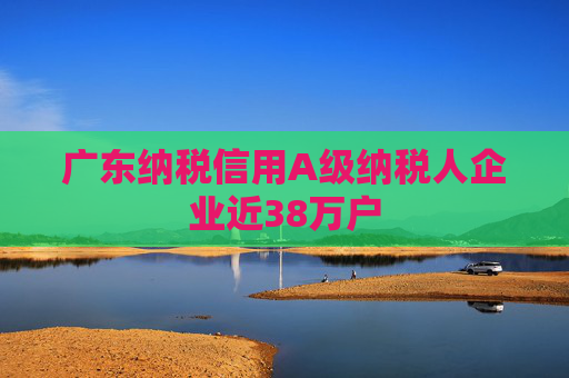 广东纳税信用A级纳税人企业近38万户