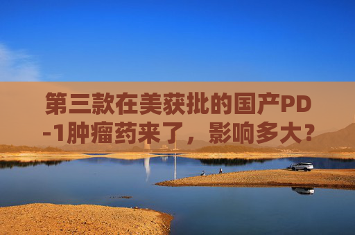 第三款在美获批的国产PD-1肿瘤药来了，影响多大？