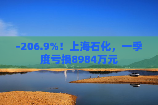 -206.9%！上海石化，一季度亏损8984万元