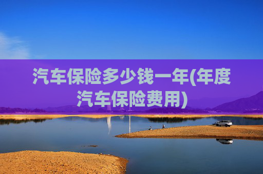 汽车保险多少钱一年(年度汽车保险费用)