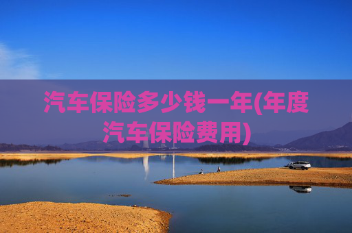 汽车保险多少钱一年(年度汽车保险费用)