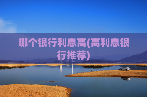 哪个银行利息高(高利息银行推荐)