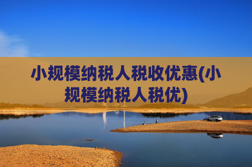 小规模纳税人税收优惠(小规模纳税人税优)