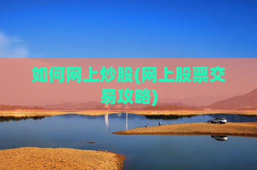如何网上炒股(网上股票交易攻略)
