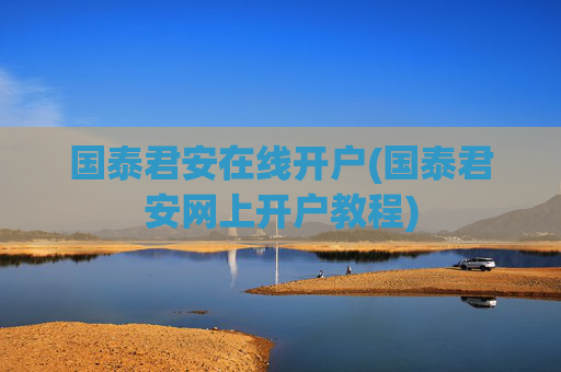 国泰君安在线开户(国泰君安网上开户教程)