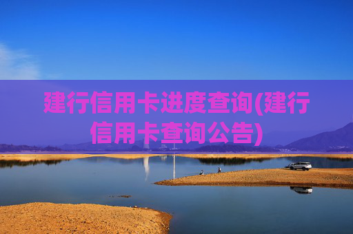 建行信用卡进度查询(建行信用卡查询公告)