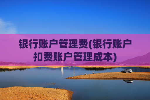 银行账户管理费(银行账户扣费账户管理成本)