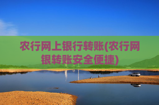 农行网上银行转账(农行网银转账安全便捷)