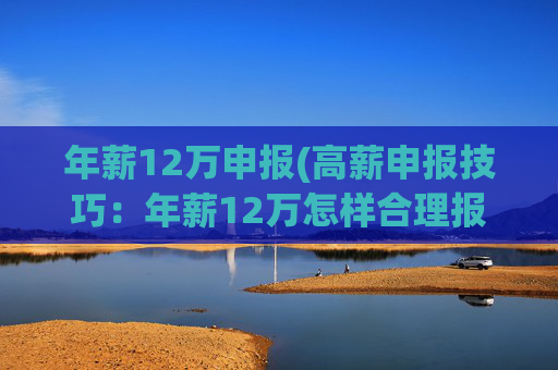 年薪12万申报(高薪申报技巧：年薪12万怎样合理报税)