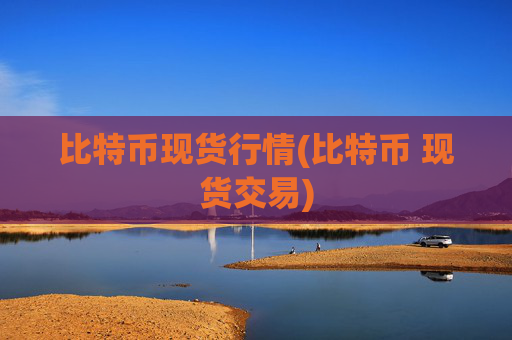 比特币现货行情(比特币 现货交易)