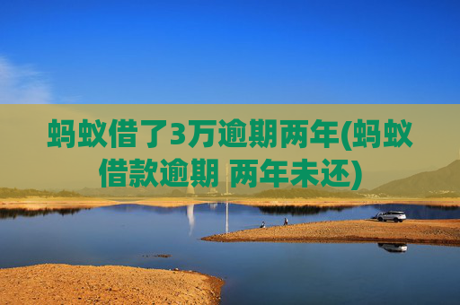 蚂蚁借了3万逾期两年(蚂蚁借款逾期 两年未还)
