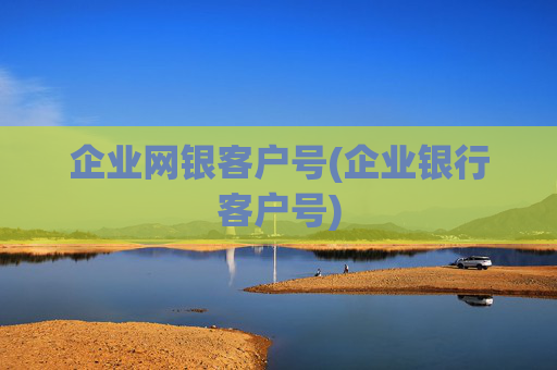 企业网银客户号(企业银行客户号)