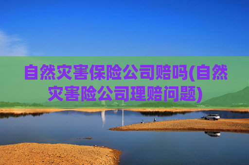 自然灾害保险公司赔吗(自然灾害险公司理赔问题)