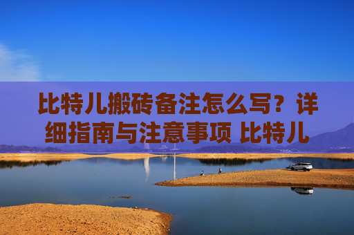 比特儿搬砖备注怎么写？详细指南与注意事项 比特儿搬砖备注怎么写