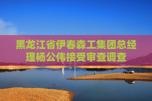 黑龙江省伊春森工集团总经理杨公伟接受审查调查