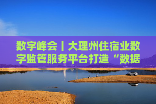 数字峰会丨大理州住宿业数字监管服务平台打造“数据要素×文旅产业”云南范本
