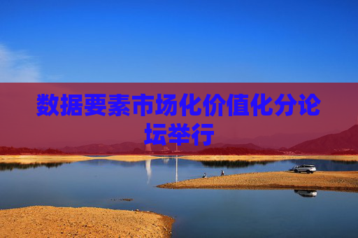 数据要素市场化价值化分论坛举行