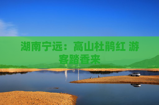 湖南宁远：高山杜鹃红 游客踏香来