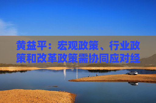 黄益平：宏观政策、行业政策和改革政策需协同应对经济下行压力