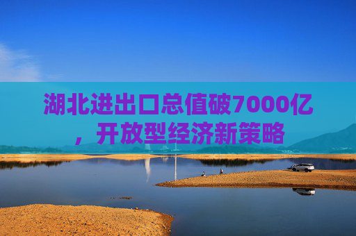 湖北进出口总值破7000亿，开放型经济新策略