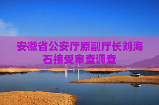安徽省公安厅原副厅长刘海石接受审查调查