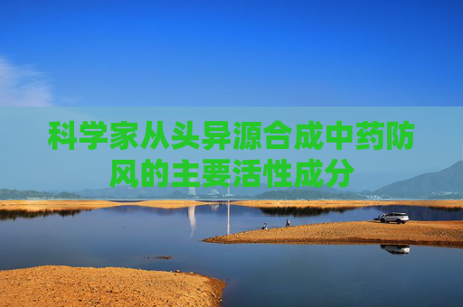 科学家从头异源合成中药防风的主要活性成分
