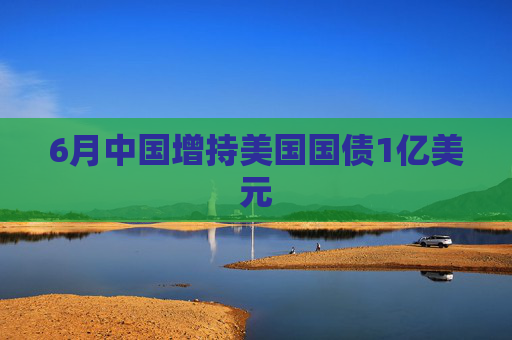 6月中国增持美国国债1亿美元