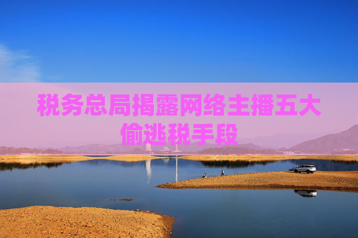 税务总局揭露网络主播五大偷逃税手段