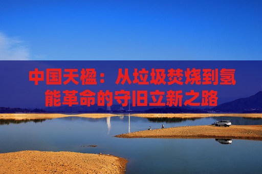 中国天楹：从垃圾焚烧到氢能革命的守旧立新之路