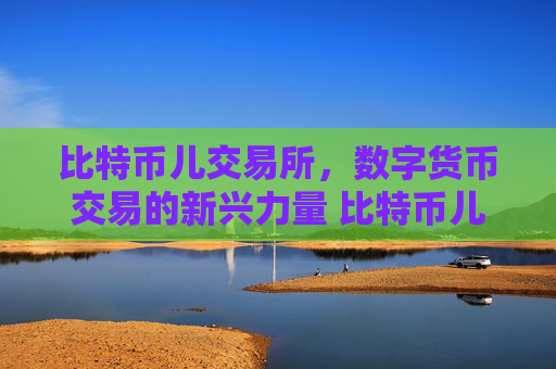 比特币儿交易所，数字货币交易的新兴力量 比特币儿交易所