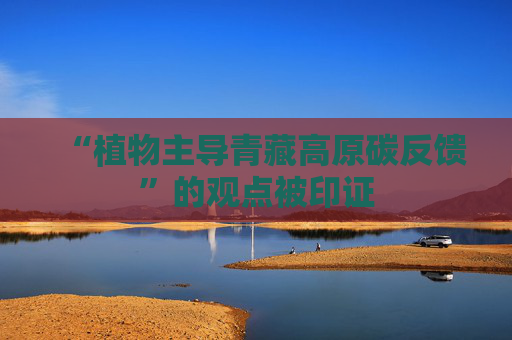 “植物主导青藏高原碳反馈”的观点被印证