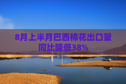 8月上半月巴西棉花出口量同比降低38%
