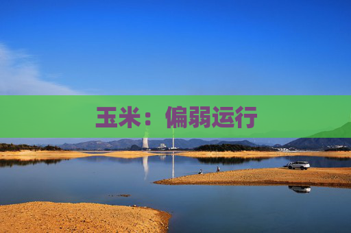 玉米：偏弱运行