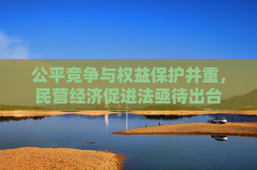 公平竞争与权益保护并重，民营经济促进法亟待出台