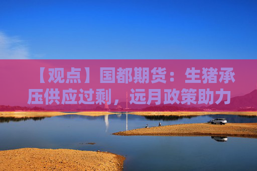 【观点】国都期货：生猪承压供应过剩，远月政策助力13000关口支撑