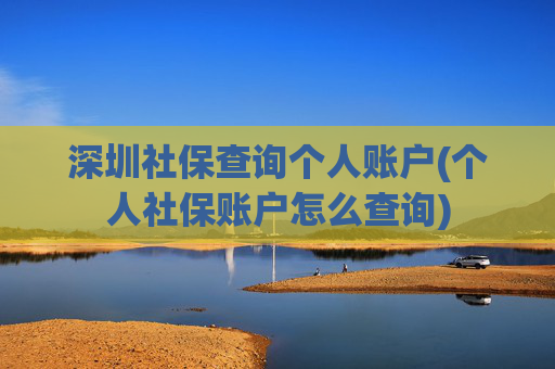 深圳社保查询个人账户(个人社保账户怎么查询)