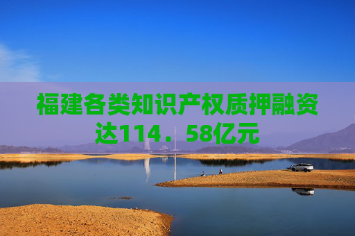 福建各类知识产权质押融资达114．58亿元
