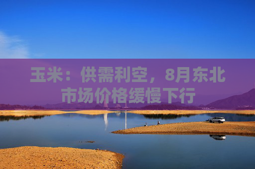 玉米：供需利空，8月东北市场价格缓慢下行