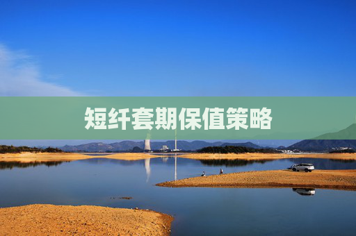 短纤套期保值策略