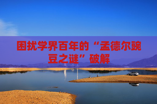 困扰学界百年的“孟德尔豌豆之谜”破解