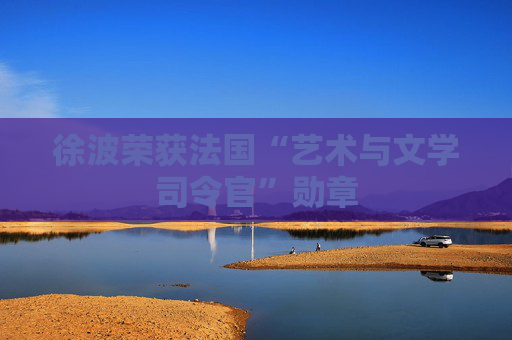 徐波荣获法国“艺术与文学司令官”勋章