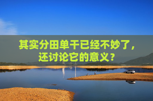 其实分田单干已经不妙了，还讨论它的意义？
