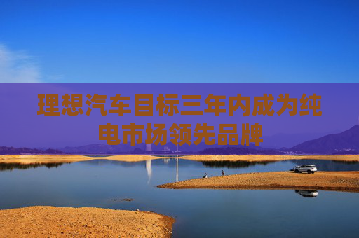 理想汽车目标三年内成为纯电市场领先品牌
