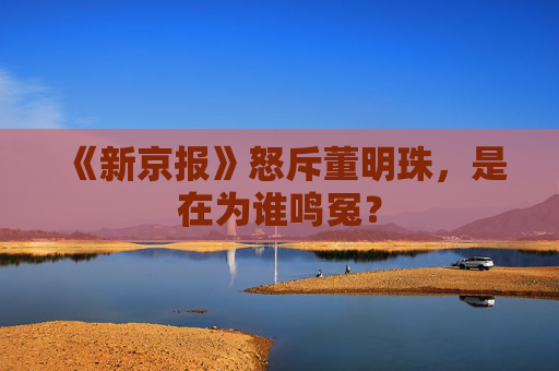 《新京报》怒斥董明珠，是在为谁鸣冤？