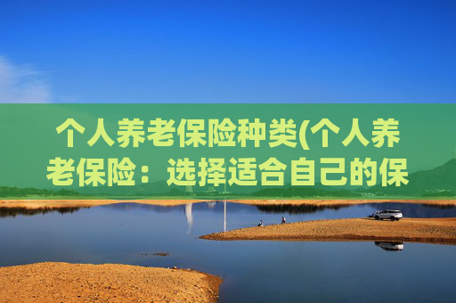 个人养老保险种类(个人养老保险：选择适合自己的保障方案)