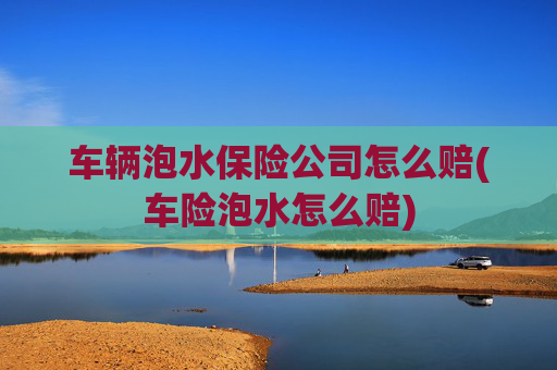 车辆泡水保险公司怎么赔(车险泡水怎么赔)