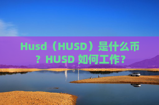 Husd（HUSD）是什么币？HUSD 如何工作？