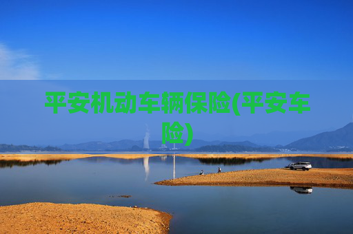 平安机动车辆保险(平安车险)